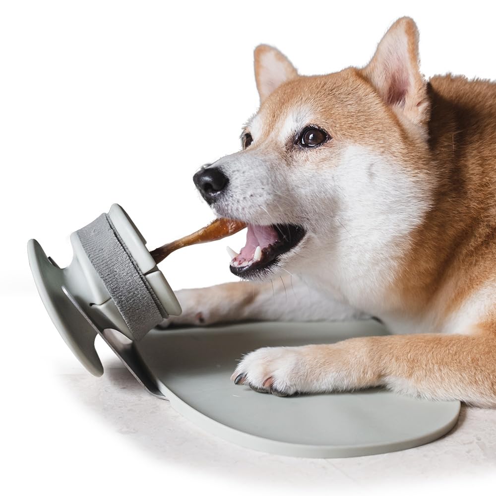 Amazon | LUNOJI CHEWDEN GRIP 愛犬用ガムスタンド ルノジ Amazon | LUNOJI CHEWDEN GRIP 愛犬用ガムスタンド ルノジ